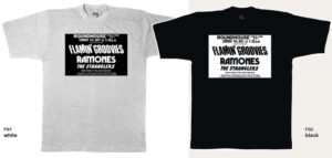 Flamin' Groovies T-shirt