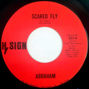 ABRAHAM - Funky Spider and / Scared Fly