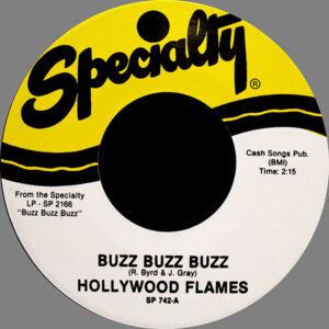 HOLLYWOOD FLAMES - Buzz Buzz Buzz / Crazy